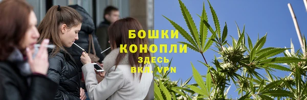 индика Нефтегорск