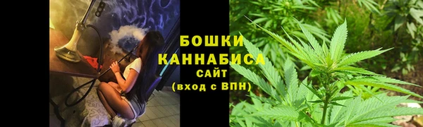 индика Нефтегорск