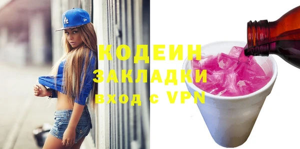 индика Нефтегорск
