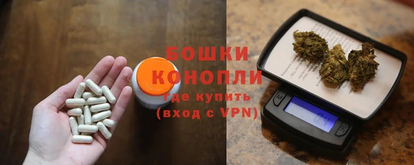 индика Нефтегорск