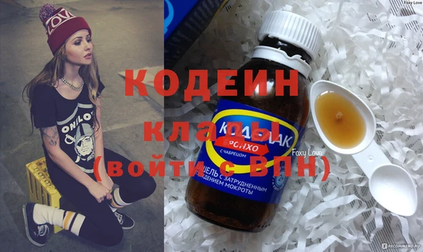 индика Нефтегорск