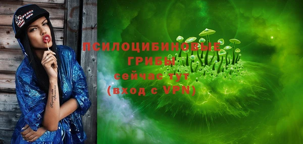 ALPHA PVP Надым