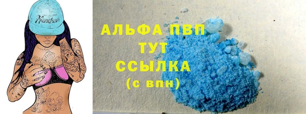 индика Нефтегорск