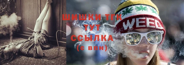 хмурый Михайловск