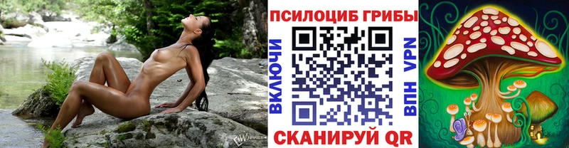 купить наркоту  Нефтегорск  Галлюциногенные грибы Psilocybe 